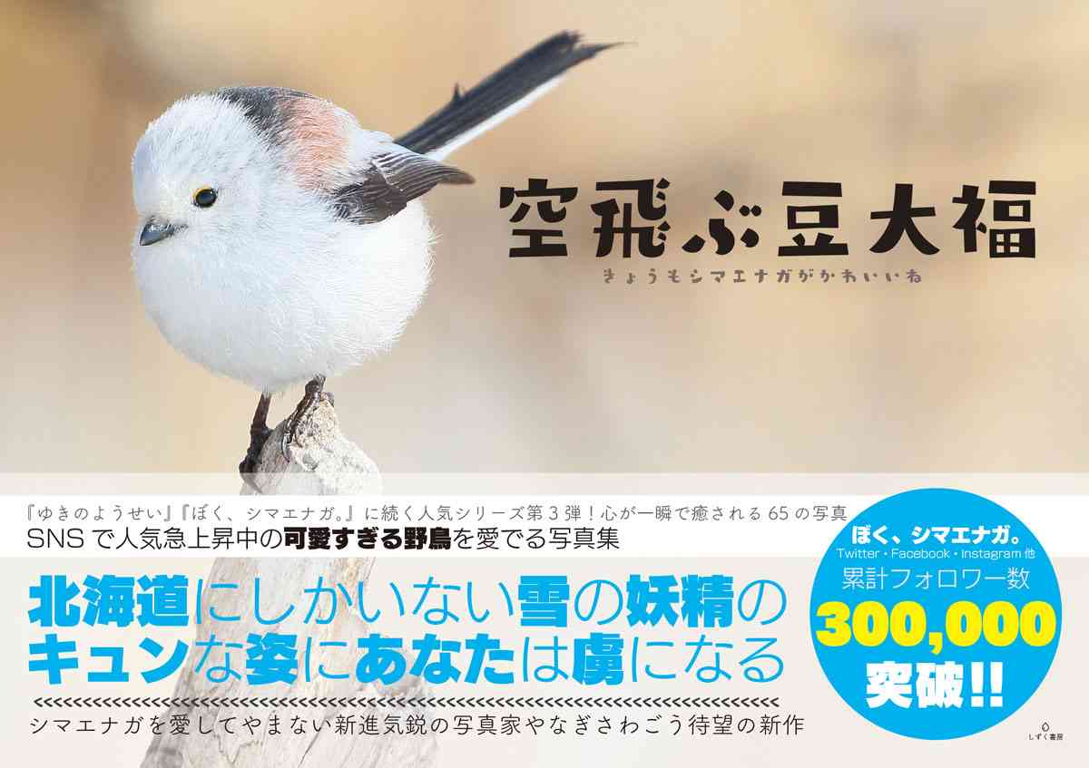 シマエナガちゃんに癒されるトピ Part4