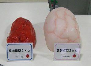 世間的にはぽっちゃりだけど自分としてはベスト体重