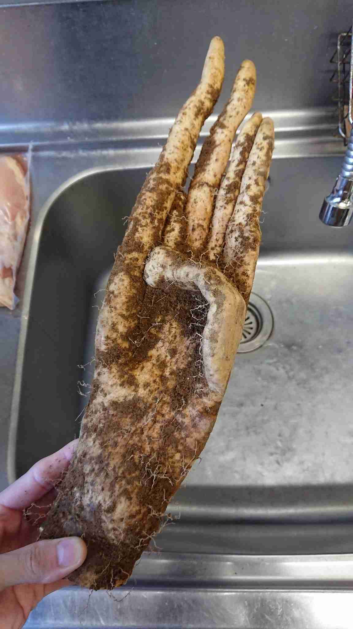 何度見てもじわじわくる画像part5