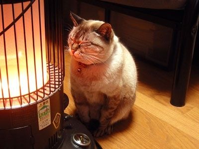 何度見てもじわじわくる画像part5