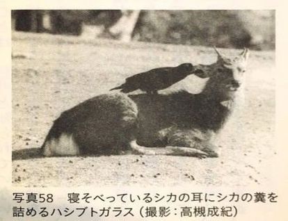 何度見てもじわじわくる画像part5