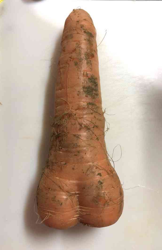 何度見てもじわじわくる画像part5