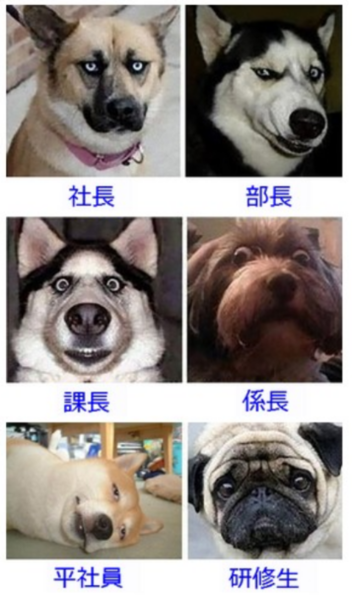 何度見てもじわじわくる画像part5