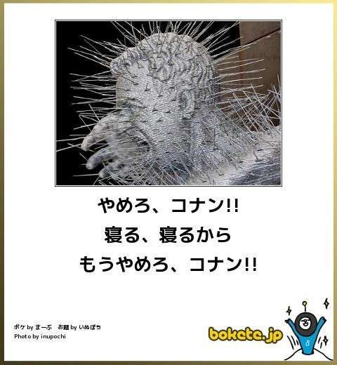 何度見てもじわじわくる画像part5