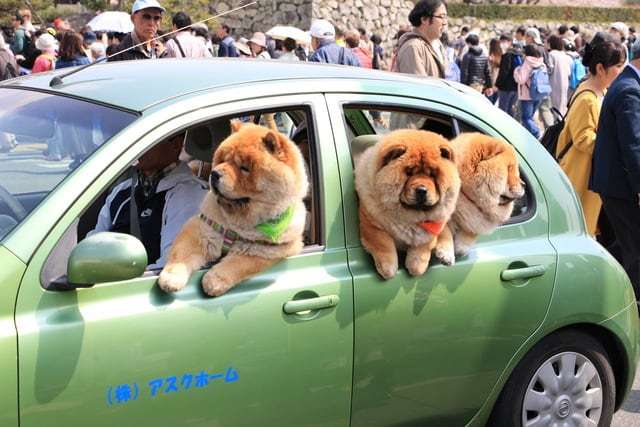 兵庫県に住んでる方！