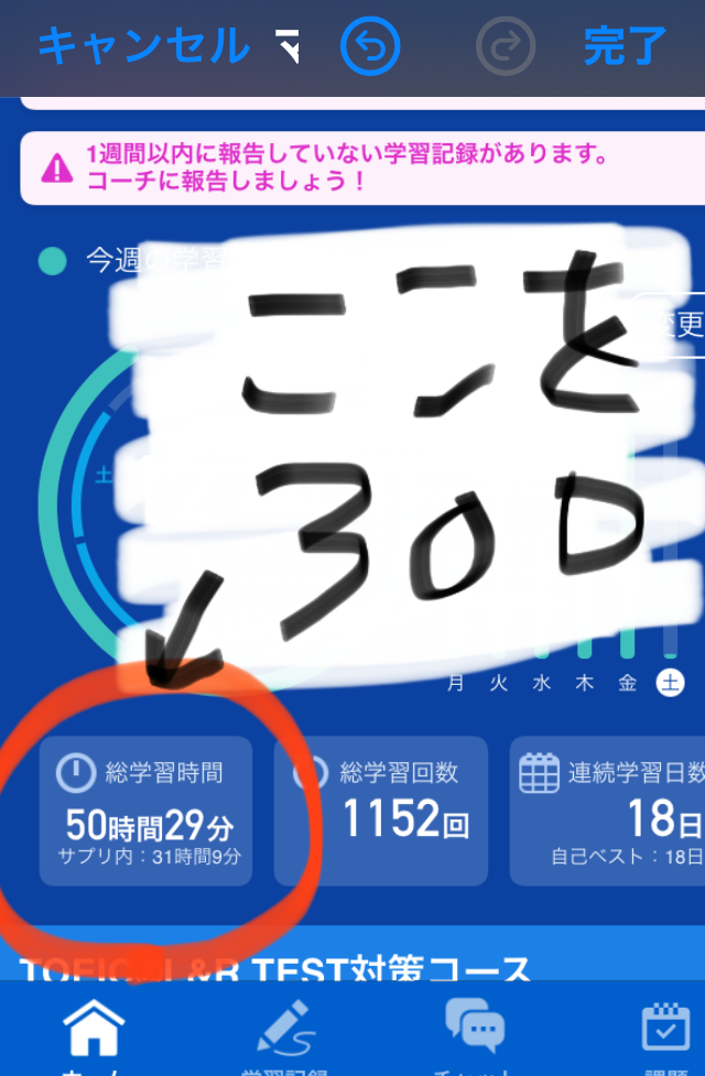 春の日焼け止め・化粧下地🌸オススメ