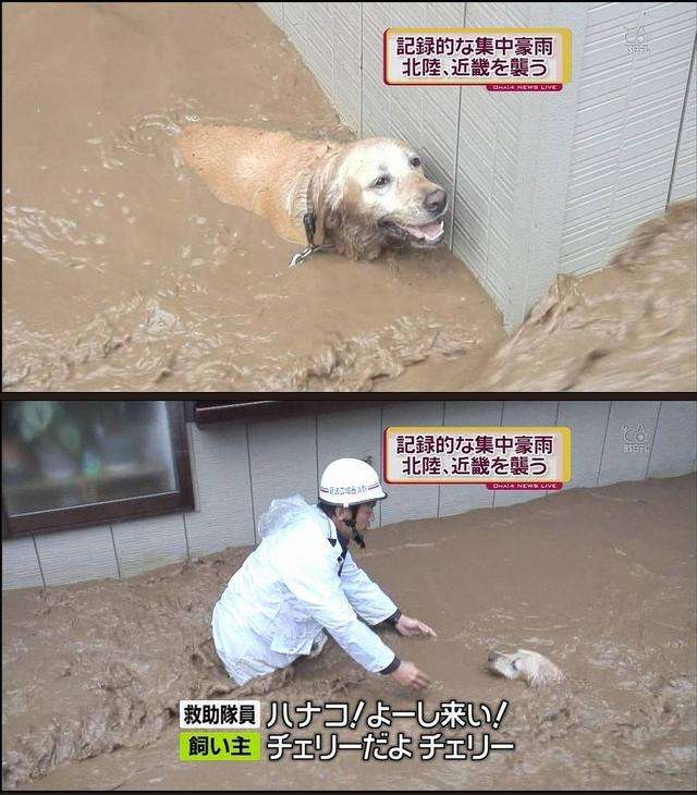くだらなさ過ぎて逆に笑ってしまった画像が集まるトピ part3