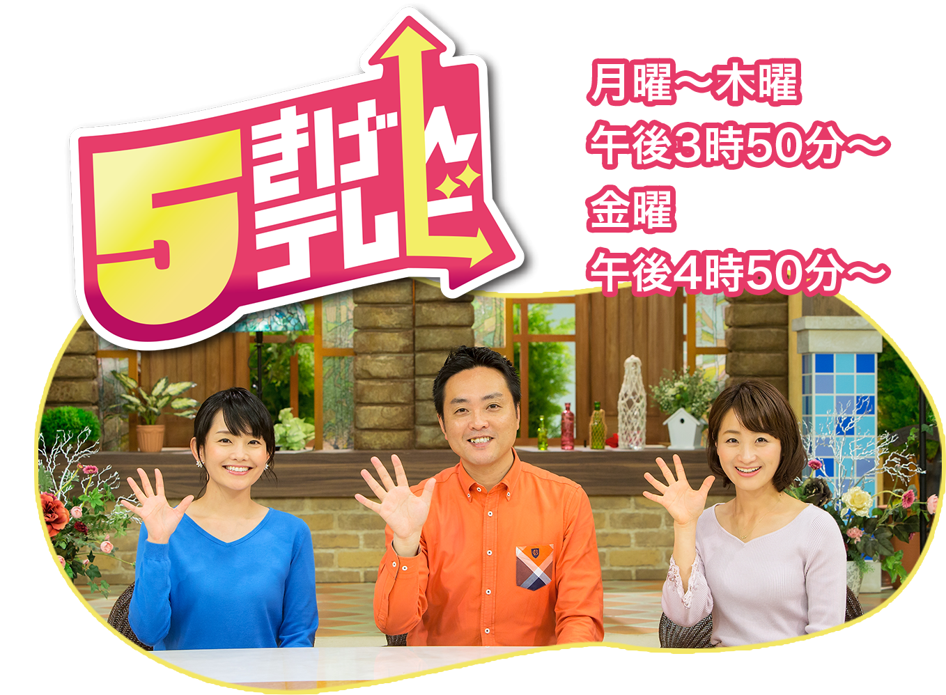 地味に好きなテレビ番組