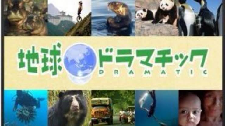 地味に好きなテレビ番組