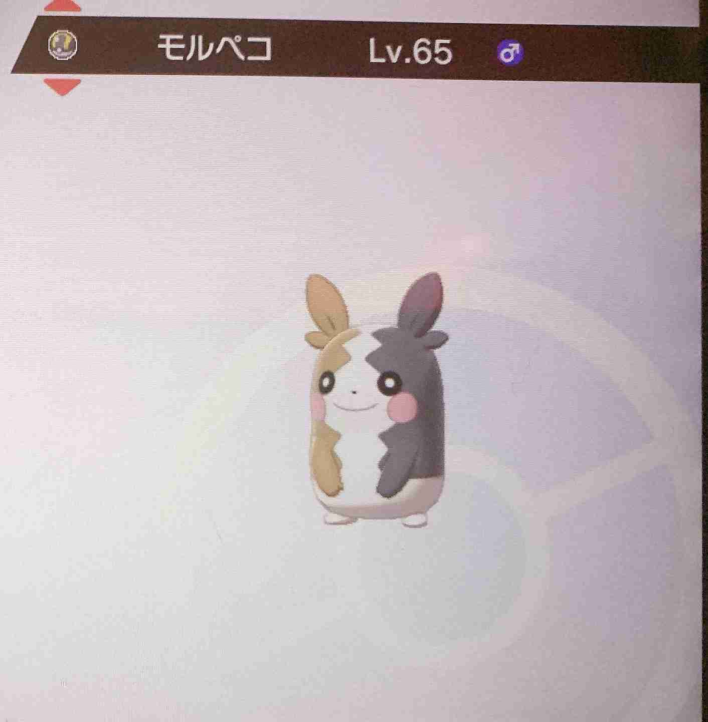 【ソード】ポケモン剣盾やってる人 Part.14【シールド】