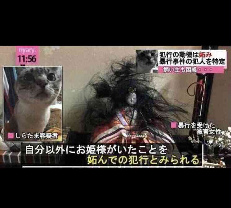 心霊系の怖い話好きな人集まれPart4