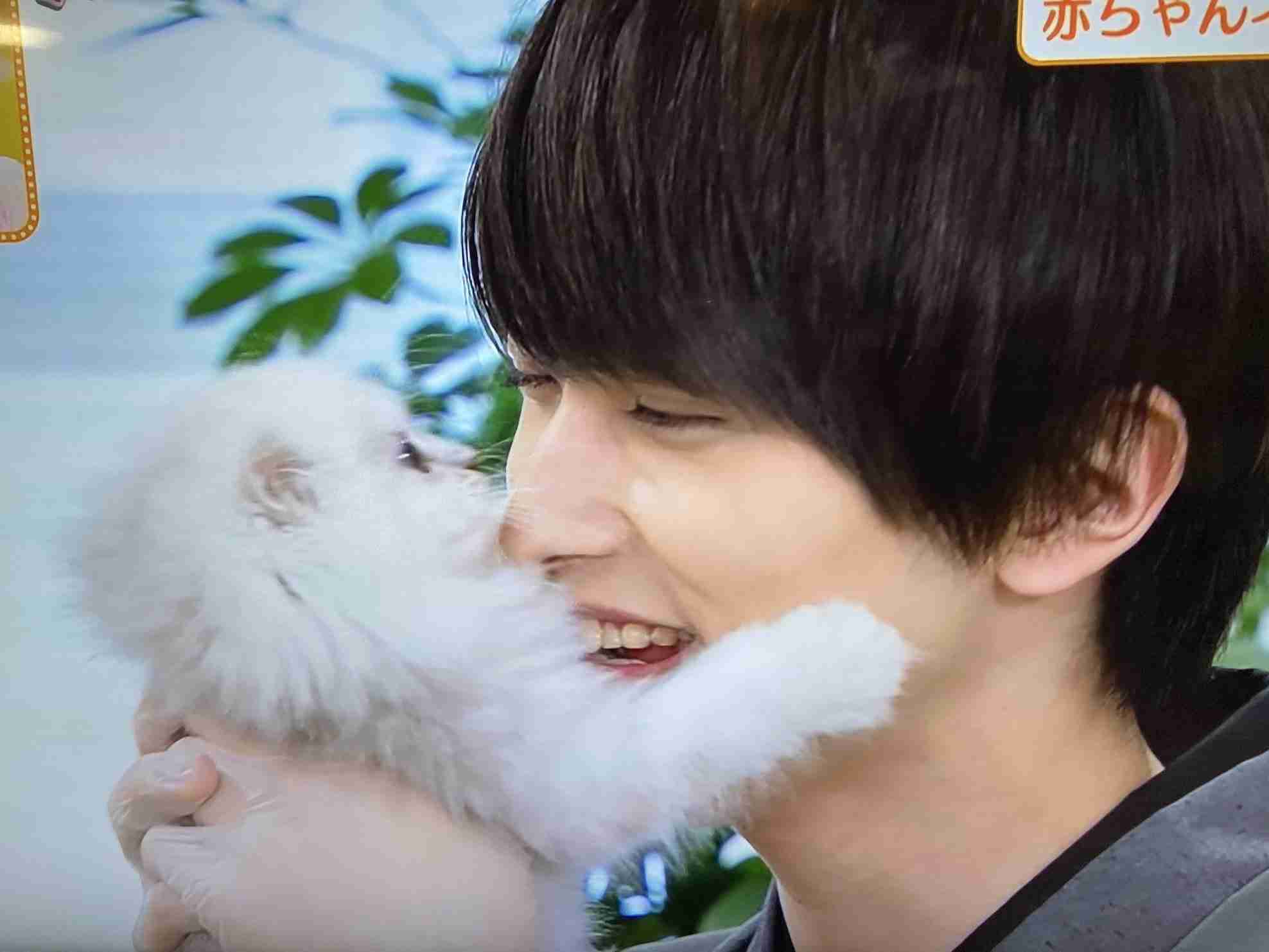 いろんな横浜流星くんが見たい part3