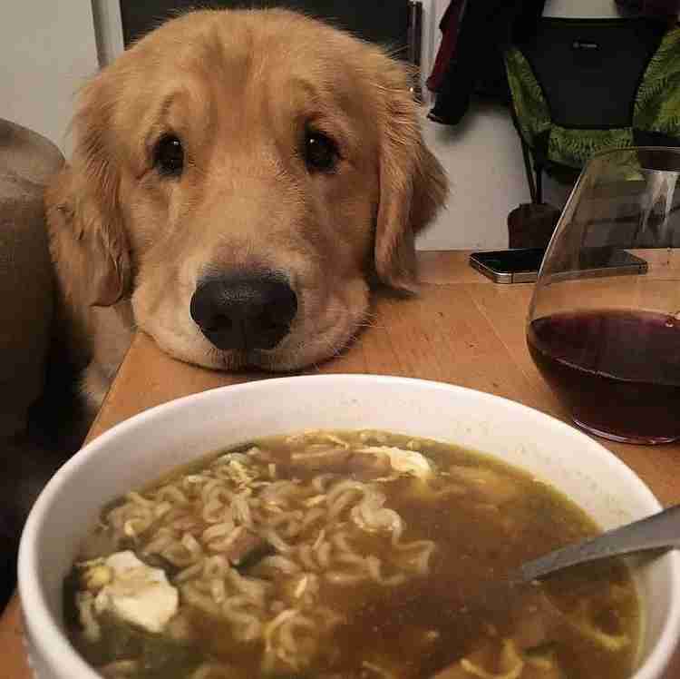 家族の食事を作ってる人のダイエット