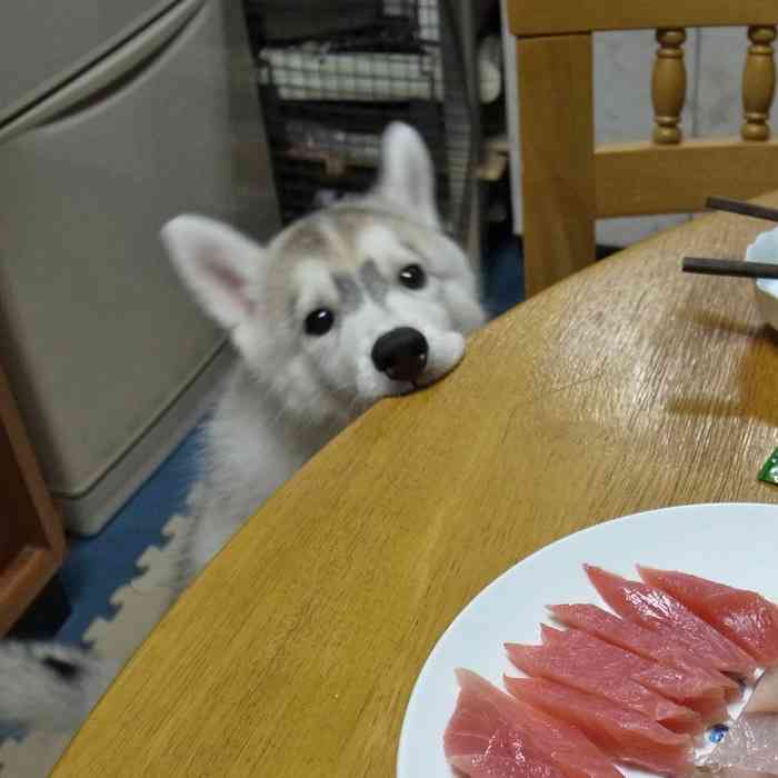 家族の食事を作ってる人のダイエット