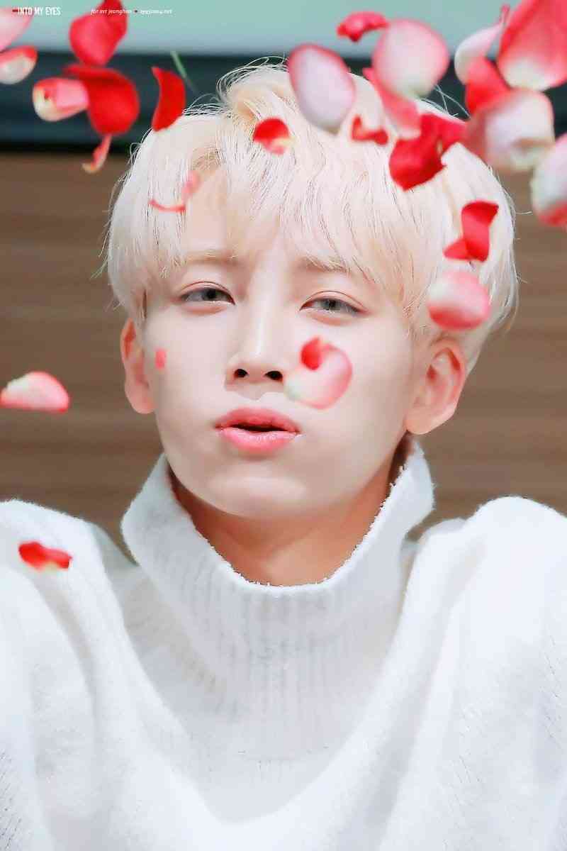 いろんなアジアのイケメンが見たい　part13