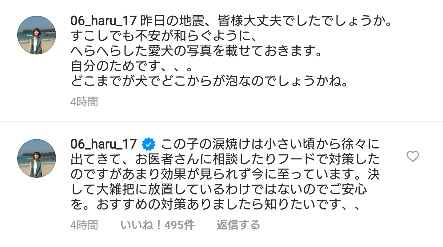 波瑠「どこまでが犬でどこからが泡…」の愛犬の写真を投稿 ファン「癒されます」「心が和らぎます」と感謝