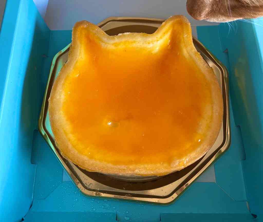 ねこねこ食パン好きな人!!