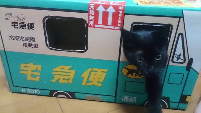 ネット通販あるある