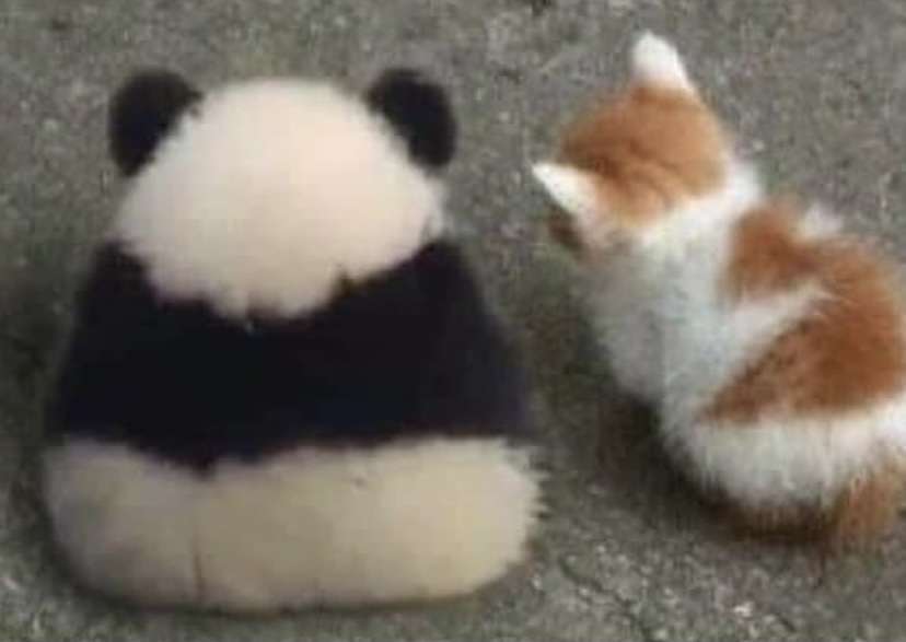 同性に片思いしている人いませんか？