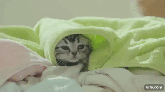 印象に残っているCM