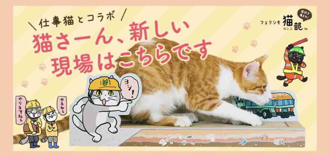 仕事猫（現場猫）好きな人集合！！