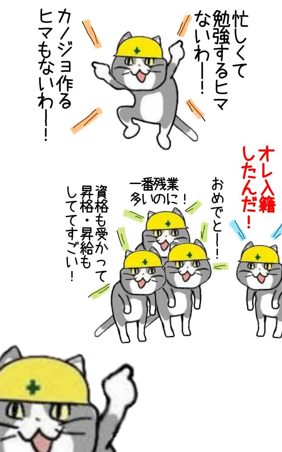 仕事猫（現場猫）好きな人集合！！