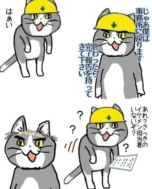 仕事猫（現場猫）好きな人集合！！