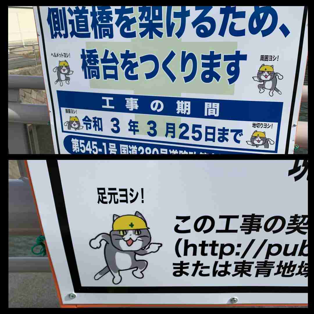 仕事猫（現場猫）好きな人集合！！