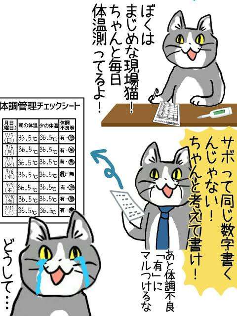 仕事猫（現場猫）好きな人集合！！