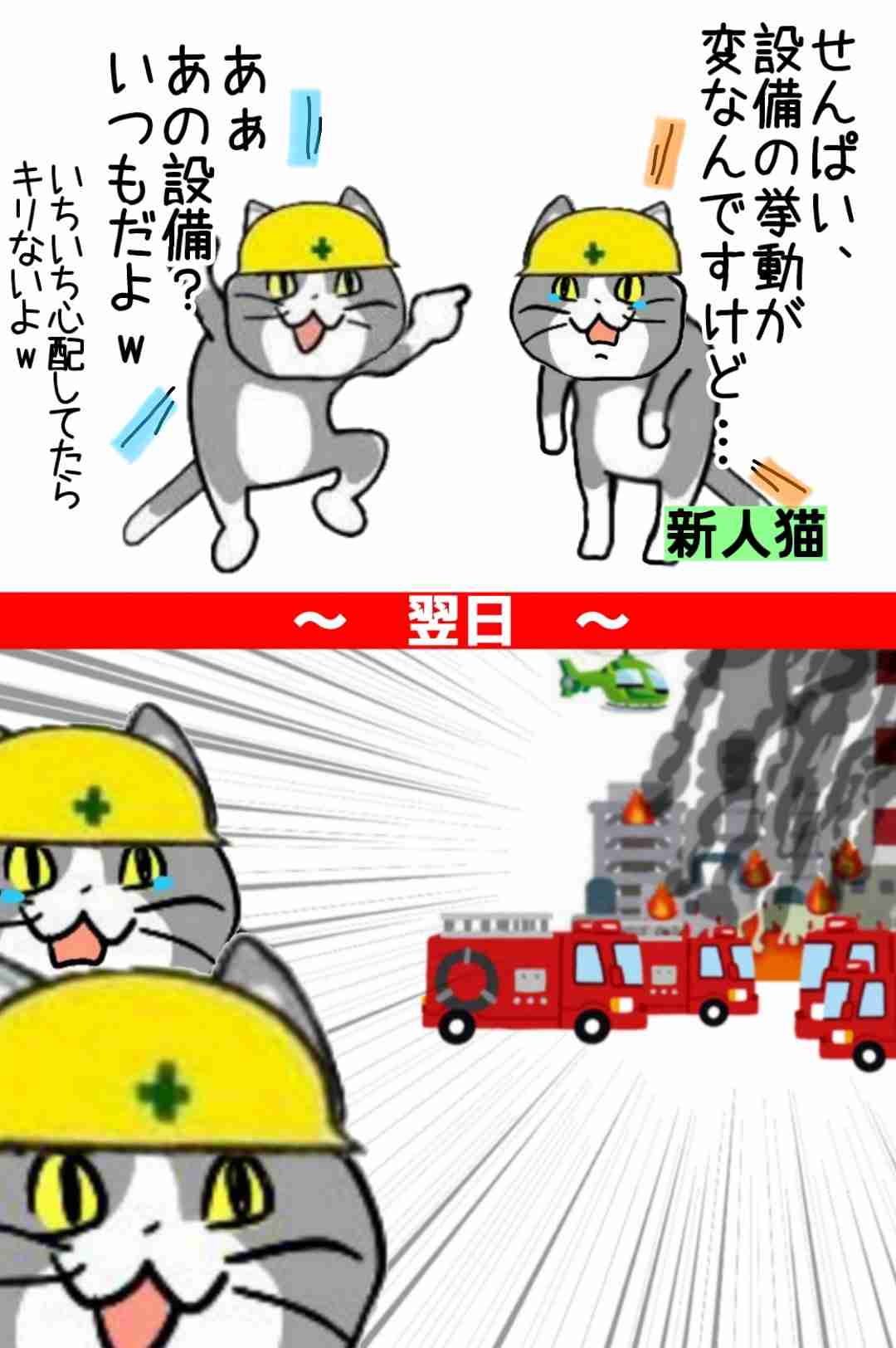 仕事猫（現場猫）好きな人集合！！