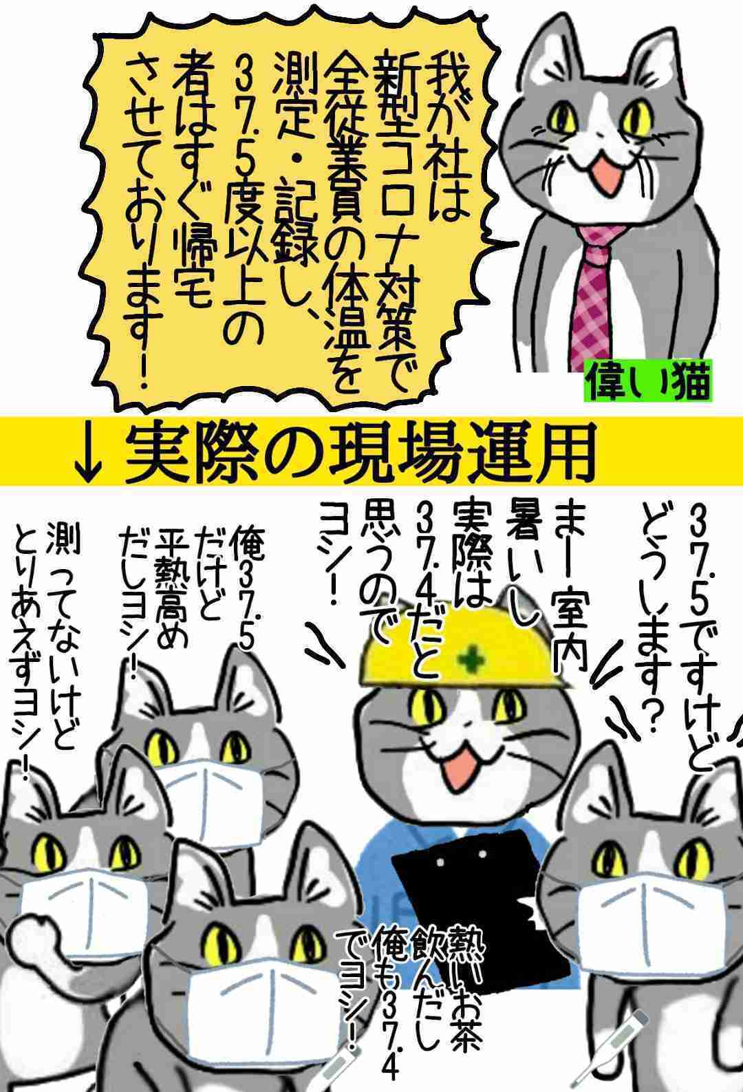 仕事猫（現場猫）好きな人集合！！