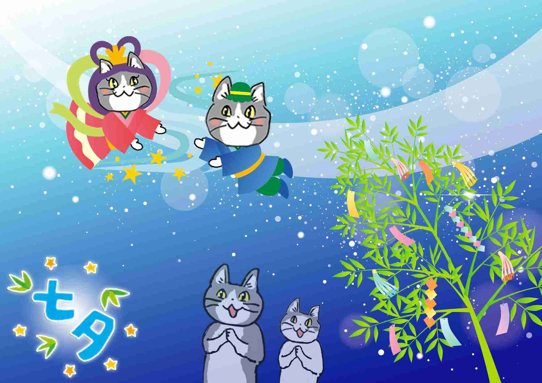 仕事猫（現場猫）好きな人集合！！
