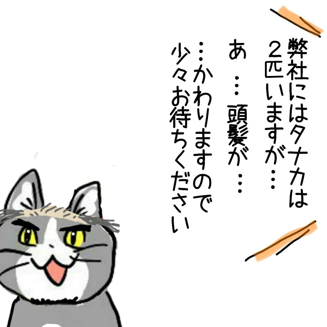 仕事猫（現場猫）好きな人集合！！