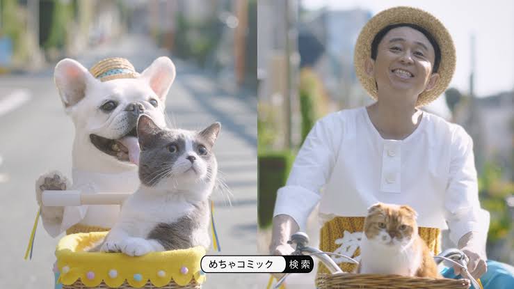 仕事猫（現場猫）好きな人集合！！