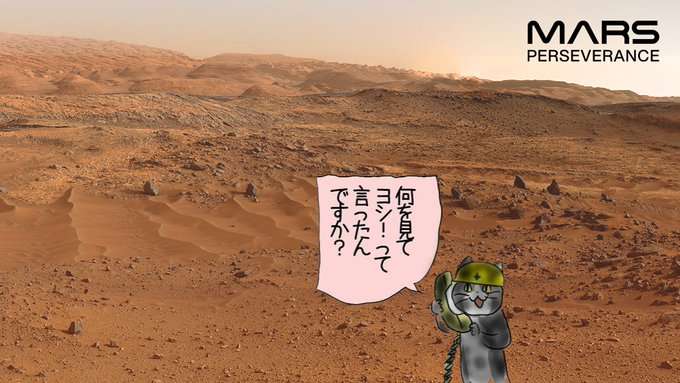 仕事猫（現場猫）好きな人集合！！