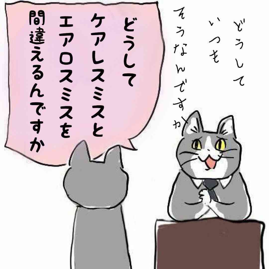 仕事猫（現場猫）好きな人集合！！