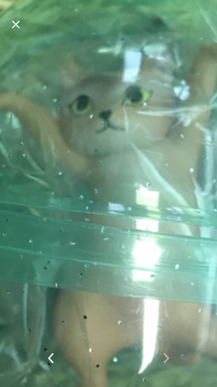最近ハマったガチャガチャ！