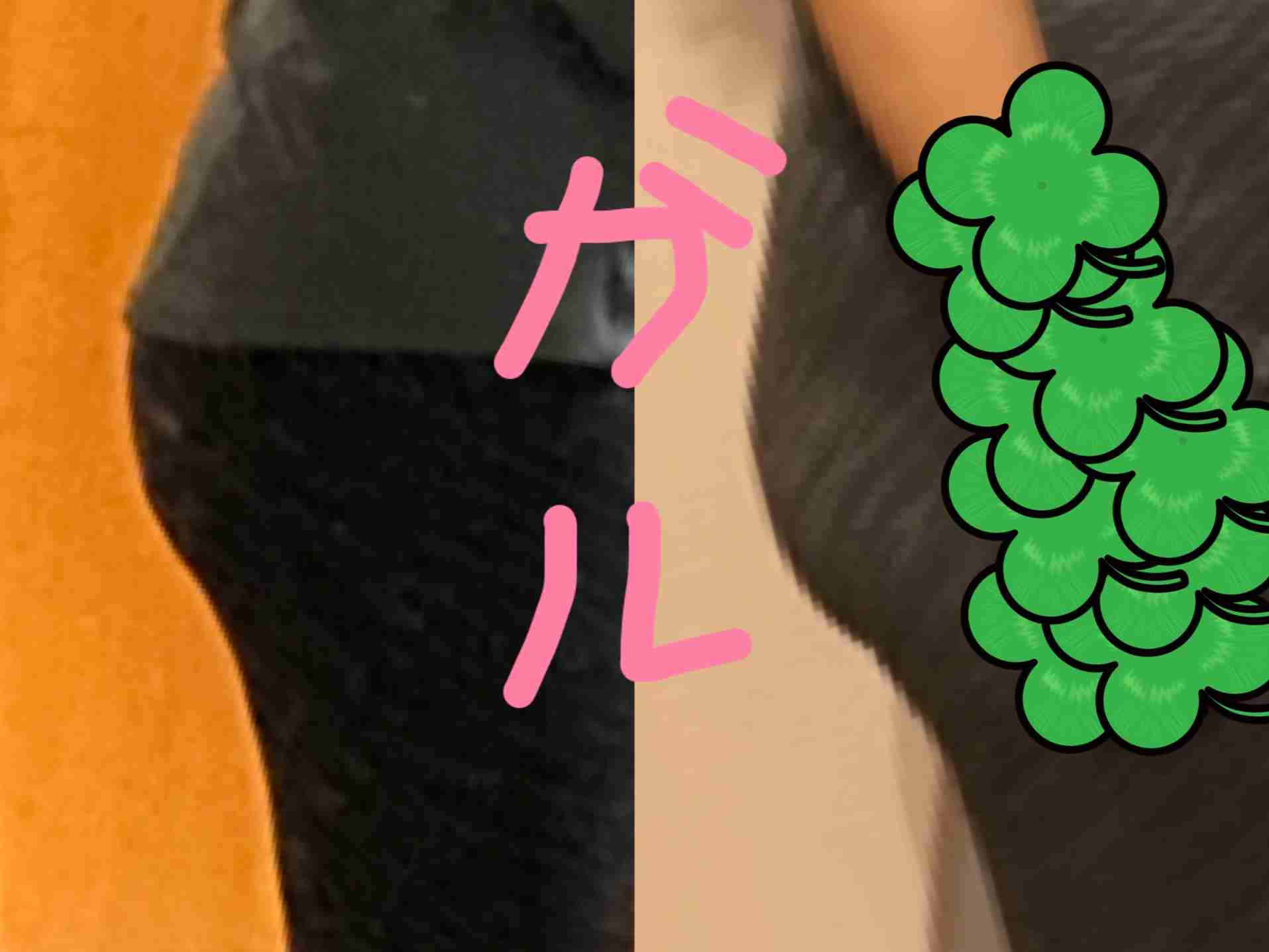 【2月】ダイエット 総合