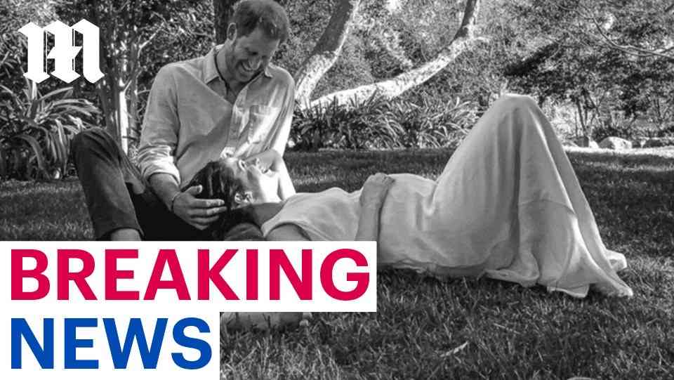 キャサリン妃とウィリアム王子、Zoom会議で自宅のインテリアをチラ見せ！