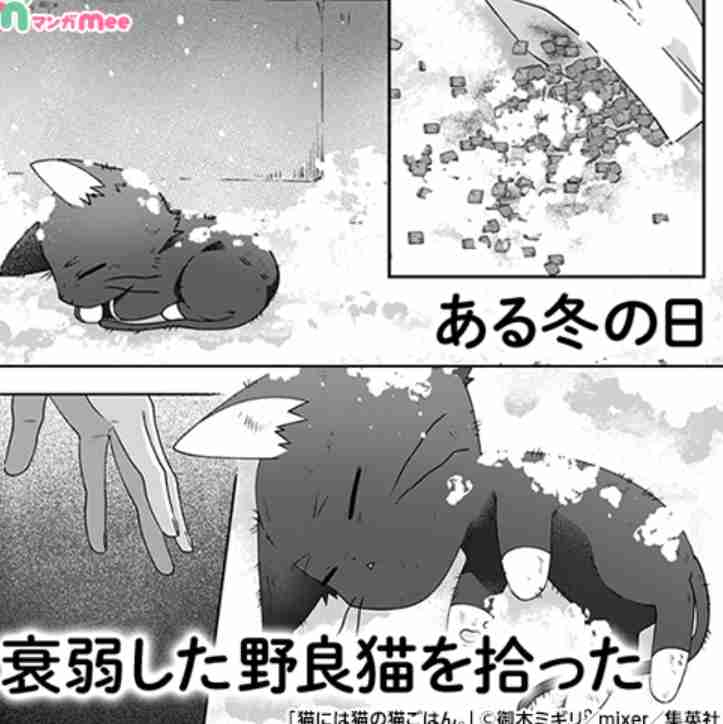 ガルちゃん漫画広告 PART5
