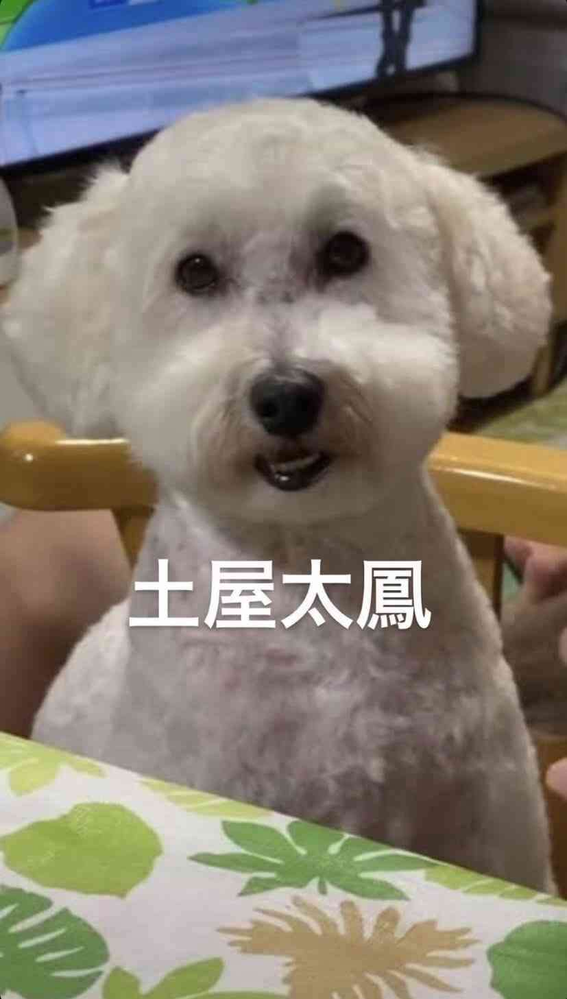 いらなくなった画像供養トピ　Vol.２