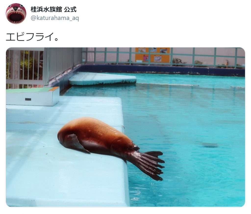 いらなくなった画像供養トピ　Vol.２