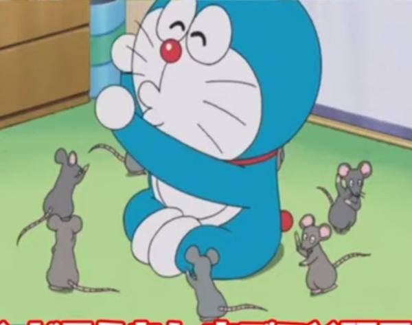 110番通報しようか迷った事