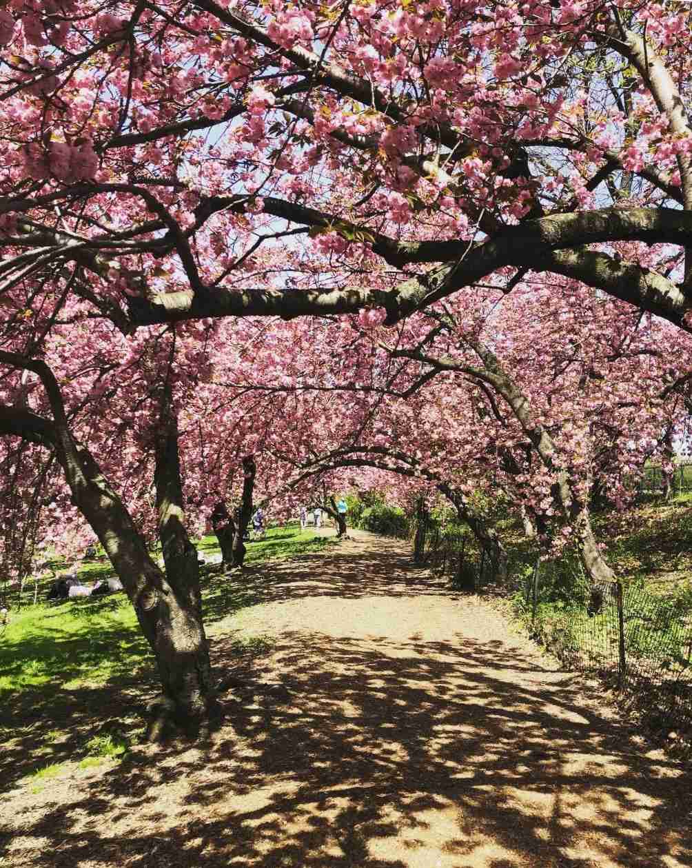 ジュエリー総合【2月】