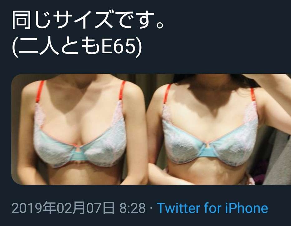 胸の悩み（貧乳、巨乳、垂れ、張りの無さ、バストトップの色、形、etc.）【part5】
