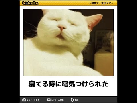 平日休みと土日休みの仕事どちらも経験ある人