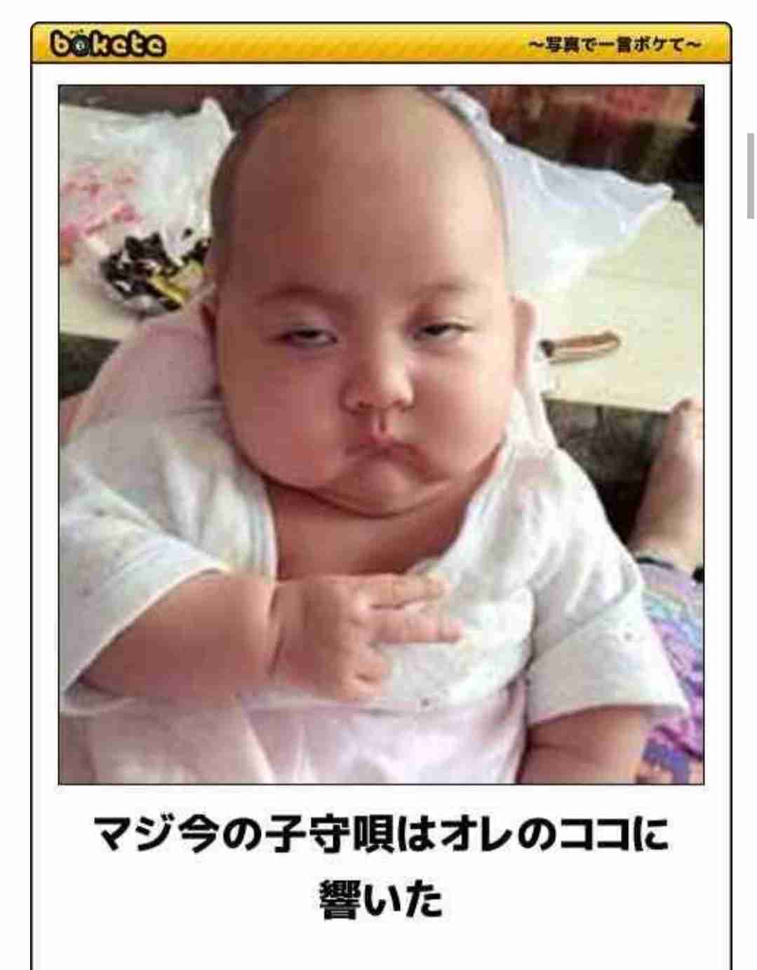 雑談コメントと内容に全く関係無い画像を貼ってカオスにするトピ