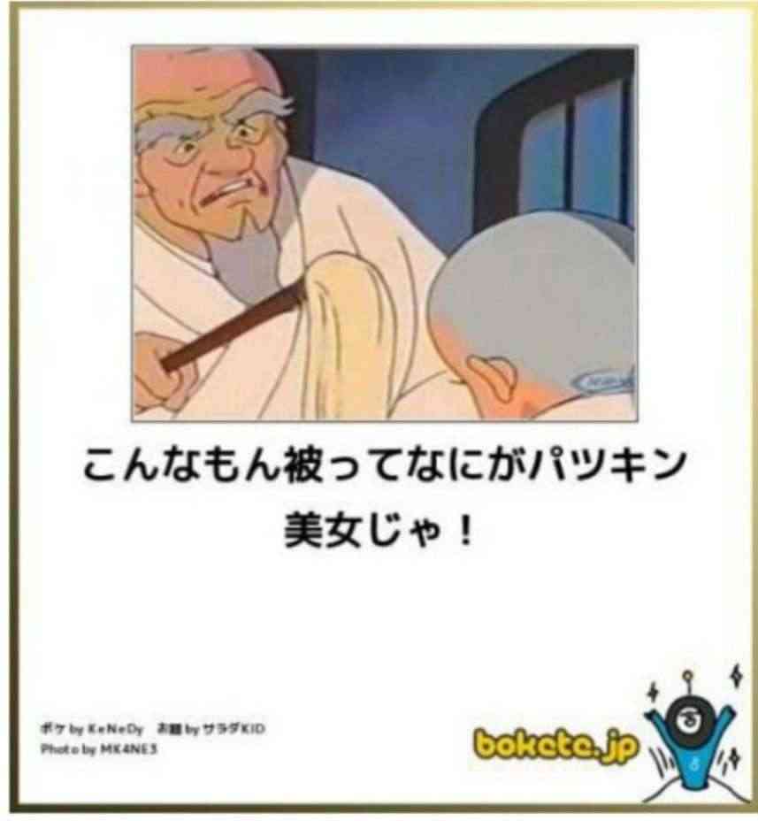 雑談コメントと内容に全く関係無い画像を貼ってカオスにするトピ