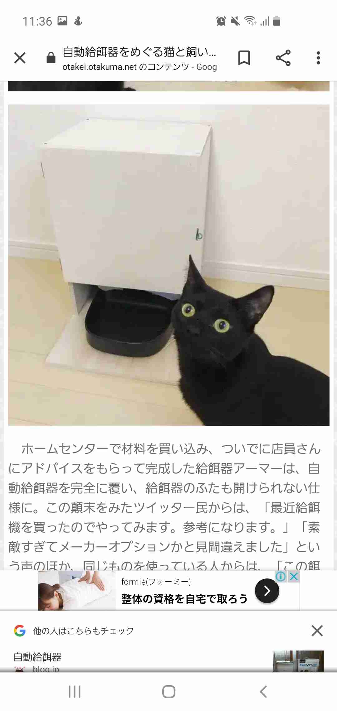 雑談コメントと内容に全く関係無い画像を貼ってカオスにするトピ