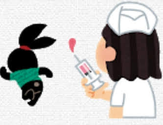 雑談コメントと内容に全く関係無い画像を貼ってカオスにするトピ